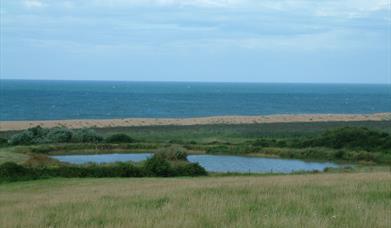 A Dorset beach