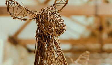 Willow Deer in light barn