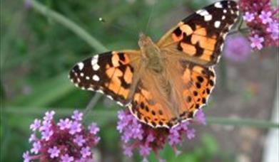 Nature Reserve, Conservation, walks