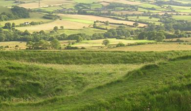 Eggardon Hillfort (photo credit National Trust)