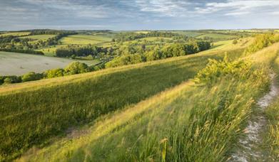 Hambledon Hill