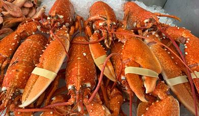 The Wet Fish Shop Lyme Regis