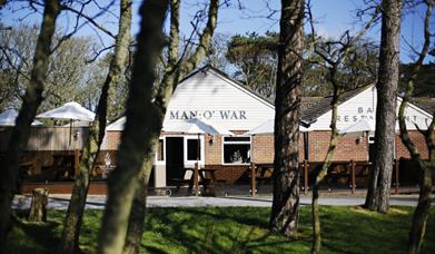 Man O War Bar and Restaurant