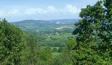 View from Lambert's Castle