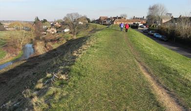 Wareham Walls, Dorset