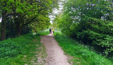Wareham Walls, Dorset