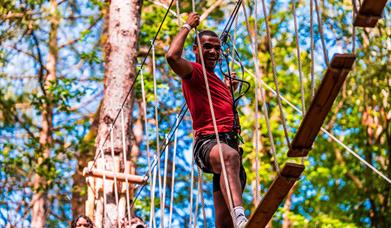 Go Ape