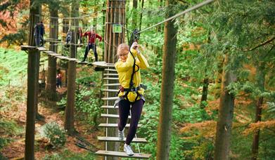 A high ropes crossing at Go Ape Moors Valley