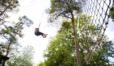 A high ropes crossing at Go Ape Moors Valley