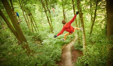 Man on zipline at Go Ape Moors Valley