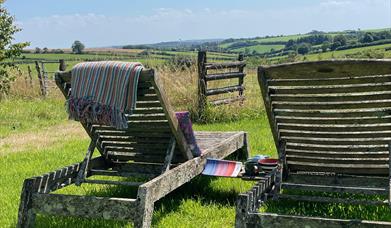 Dorset Forest Garden Glamping