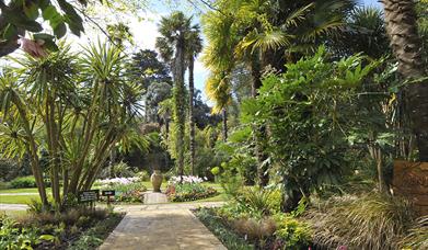 Abbotsbury Subtropical Gardens, Dorset