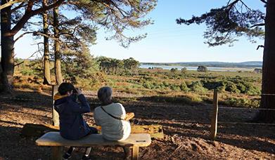 Visitors looking out across RSPB Arne nature reserve with binoculars