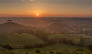 Colmers Hill in Dorset - Copyright James Loveridge