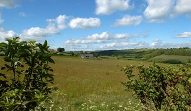 Rolling green fields in Dorset