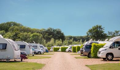 South Lytchett Manor Touring Caravan and Camping Park