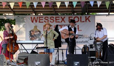 Wessex Folk Festival 2017 Wild Willy Barrett's French Connection