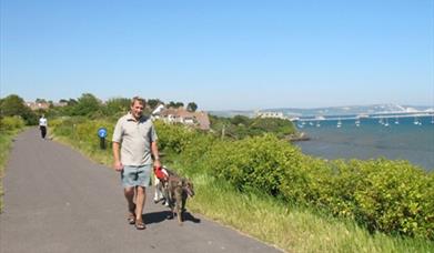 Man walking two dogs along the Rodwell Trail in Weymouth, Dorset