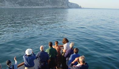 Boat Cruise in Swanage Bay