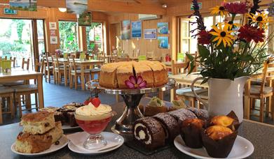 The Orchard Cafe cakes at Wareham, Dorset