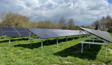 Solar panels on the Athelhampton meadow