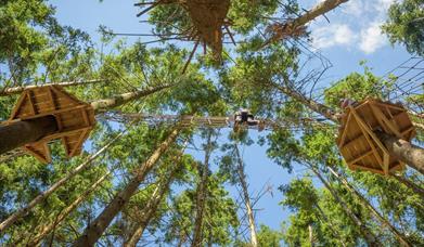 The Tunnel Tree Tops Ropes Course Dorset