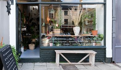 Shop exterior, plants in the window, wooden display